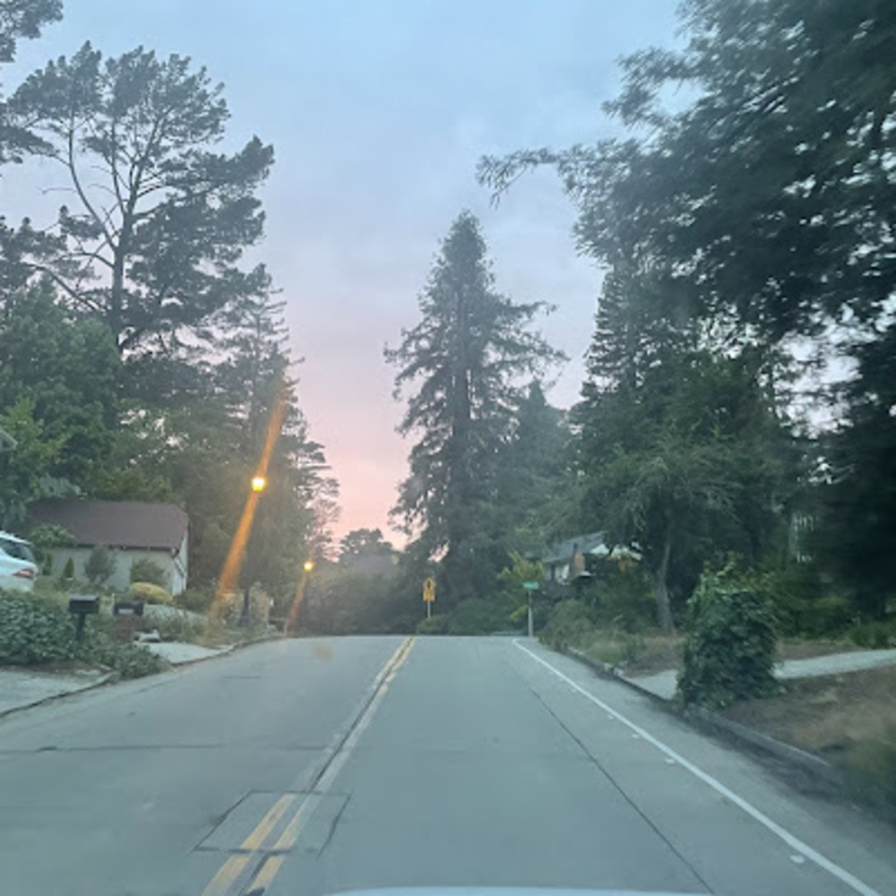 Meet your Posher, Cecilia